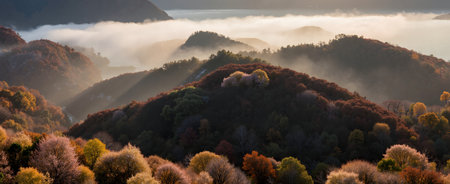 panoramic view of foggy autumn morning on the mountain slopeの素材