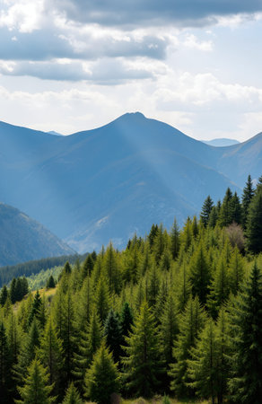 Mountain landscape with coniferous forest in the foreground and sunlightの素材