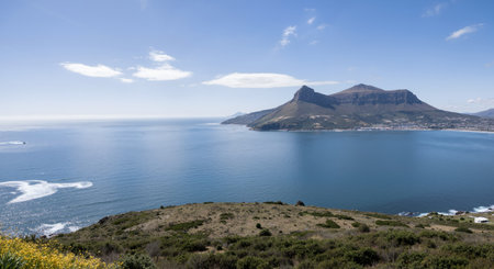 Panoramic view of Table Mountain, Cape Town, South Africaの素材