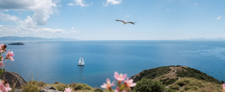 The view from the top of the mountain to the sea and a seagullの素材