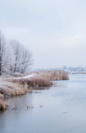 Winter landscape with frozen river and trees in hoarfrost on a cloudy dayの素材