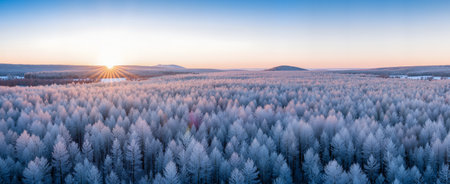 Aerial view of winter forest at sunrise. Beautiful winter landscape.の素材