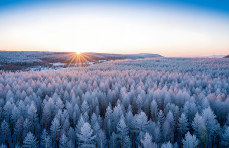 Aerial view of winter forest at sunrise. Beautiful nature landscape.の素材