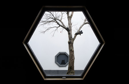 Hexagon window with a black background and a dead tree.の素材