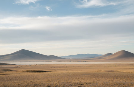 landscape of the Namib-Naukluft National Park in Namibiaの素材