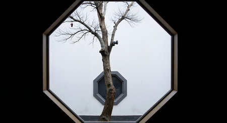 A view of a tree in a hexagonal window with a black backgroundの素材