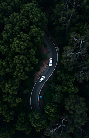 Aerial view of a road in the forest. Top view.の素材