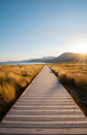 Wooden walkway in the dunes at sunset, New Zealandの素材