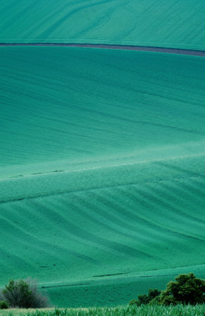 Agricultural fields in the spring, South Moravia, Czech Republicの素材
