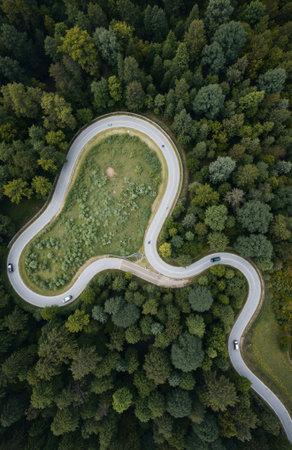 Aerial view of a winding road in the forest. Top viewの素材