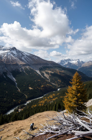 Autumn mountain landscape with snow-capped peaks and coniferous forestの素材
