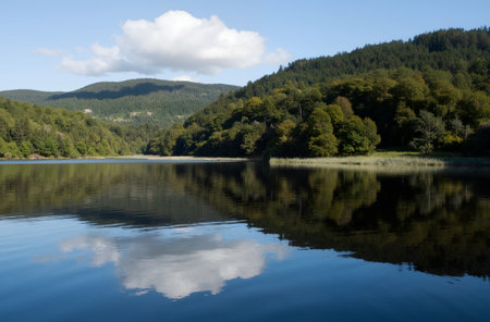 Reflection of trees and clouds in a lake, Scotland, UKの素材