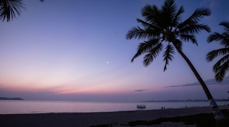 Silhouette of coconut tree at the beach with beautiful sunset backgroundの素材