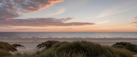 Sunset on the beach in the Netherlands with dunes and grassの素材