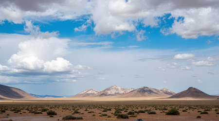 Panoramic view of the Atacama desert, Chile.の素材