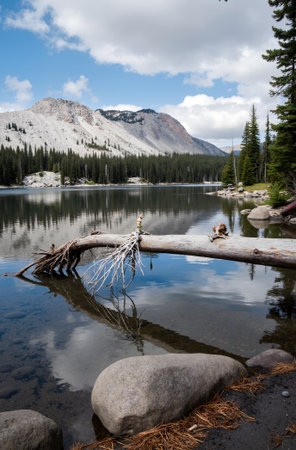 Lake in Yosemite National Park, California, United States of America.の素材