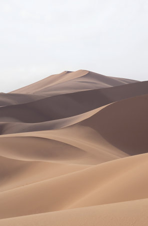 Sand dunes in the Sahara desert, Merzouga, Moroccoの素材