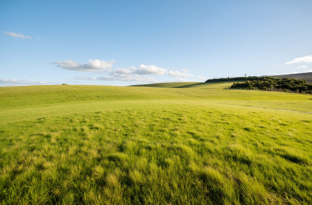 Landscape of green meadow and blue sky with white clouds.の素材