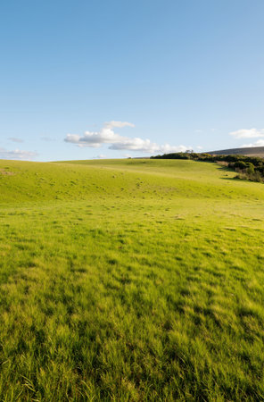Landscape with green grass and blue sky in the yorkshire woldsの素材