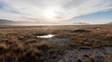 Panoramic view of the beautiful landscape of the highlands of Iceland.の素材
