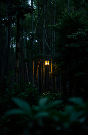 Lantern in the forest at night. Long exposure shot.の素材