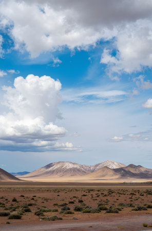 Landscape of Altiplano, Bolivia, South America. Copy space for textの素材
