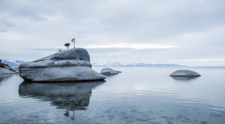 Lonely tree on the rock in lake Baikal.の素材