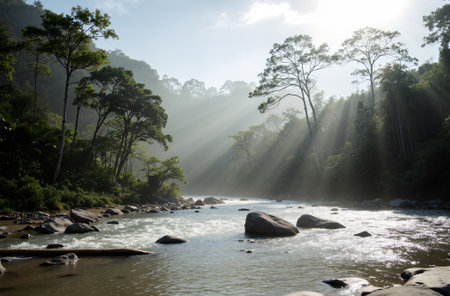 Beautiful landscape of river and forest in the morning with sunlight.の素材