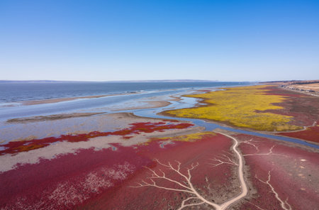 Aerial view of Salinas de Taburiente, Argentinaの素材