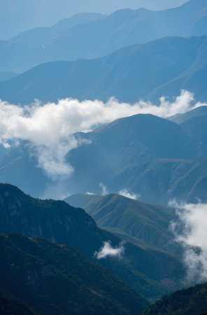 Aerial view of the forest and lake. Summer landscape with river.の素材