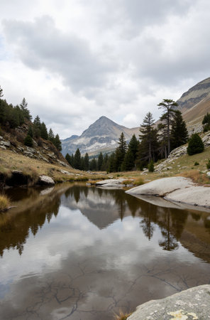 Beautiful landscape image of a lake with a white swan swimming in itの素材