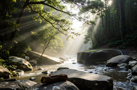 Morning sunlight shining through the trees in tropical rainforest, Thailand.の素材