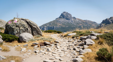 Panoramic view of a hiking trail in the Pyreneesの素材