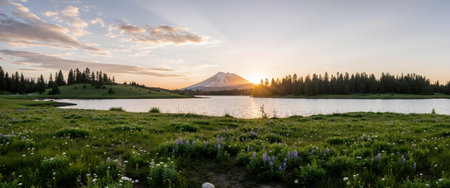 Panoramic view of Mount Rainier at sunset, Washington.の素材