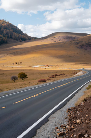 Road in the steppe of the Altai Republic, Russia.の素材
