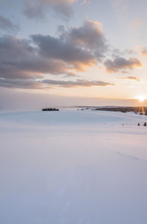 Beautiful winter landscape with snow-covered field and forest at sunsetの素材