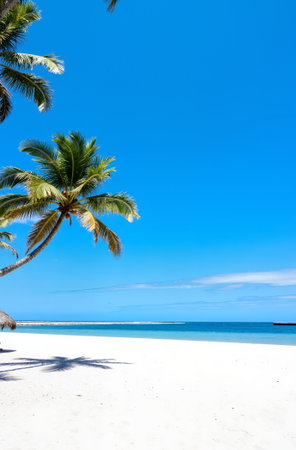 Coconut palm trees on white sand beach with turquoise ocean water and blue skyの素材
