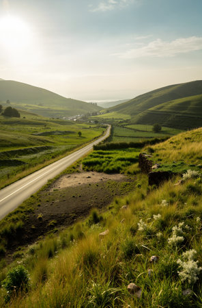 Landscape of the Azores, Portugal. The road goes into the distance.の素材