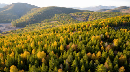 Beautiful landscape in Xinjiang, China. Green hills and blue sky.の素材