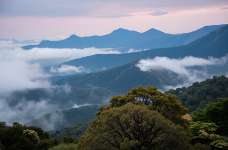Mountain landscape with fog in the morning at Doi Inthanon National Park, Thailandの素材