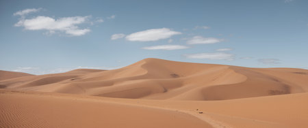 Sand dunes in the Sahara desert, Morocco. Panorama.の素材