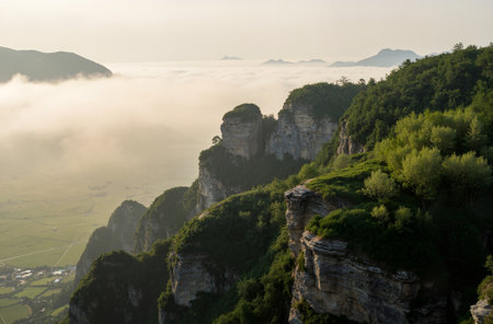 Misty morning in the mountains of the Saxon Switzerland National Parkの素材