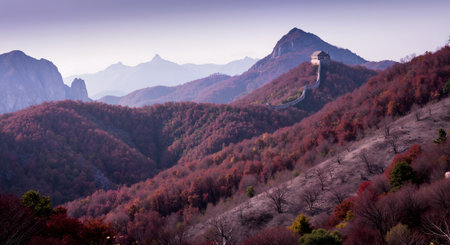 Panoramic view of the Great Wall of China at autumn.の素材