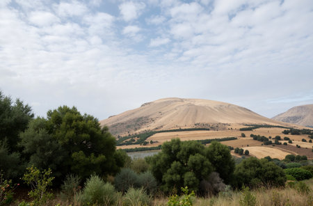 Mountain landscape in the Alentejo region. Portugal. Verticalの素材