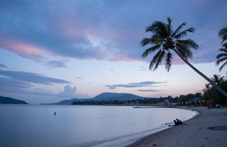 Winter landscape with snow covered trees and lake in Hangzhou, Chinaの素材