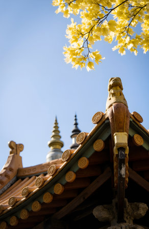 Korean temple roof with yellow cherry blossoms on blue sky backgroundの素材
