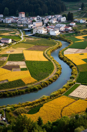 Aerial view of a small town surrounded by fields of yellow flowersの素材