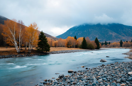 Autumn landscape with a river in the Altai Mountains, Russiaの素材