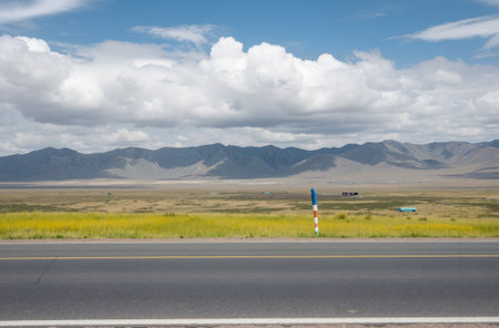 Road in the Mongolian steppe, Mongolia. The steppe is overgrown with grass.の素材