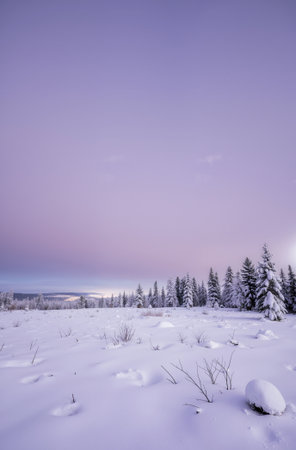 Beautiful winter landscape with snowy trees and purple sky - retro vintage effectの素材